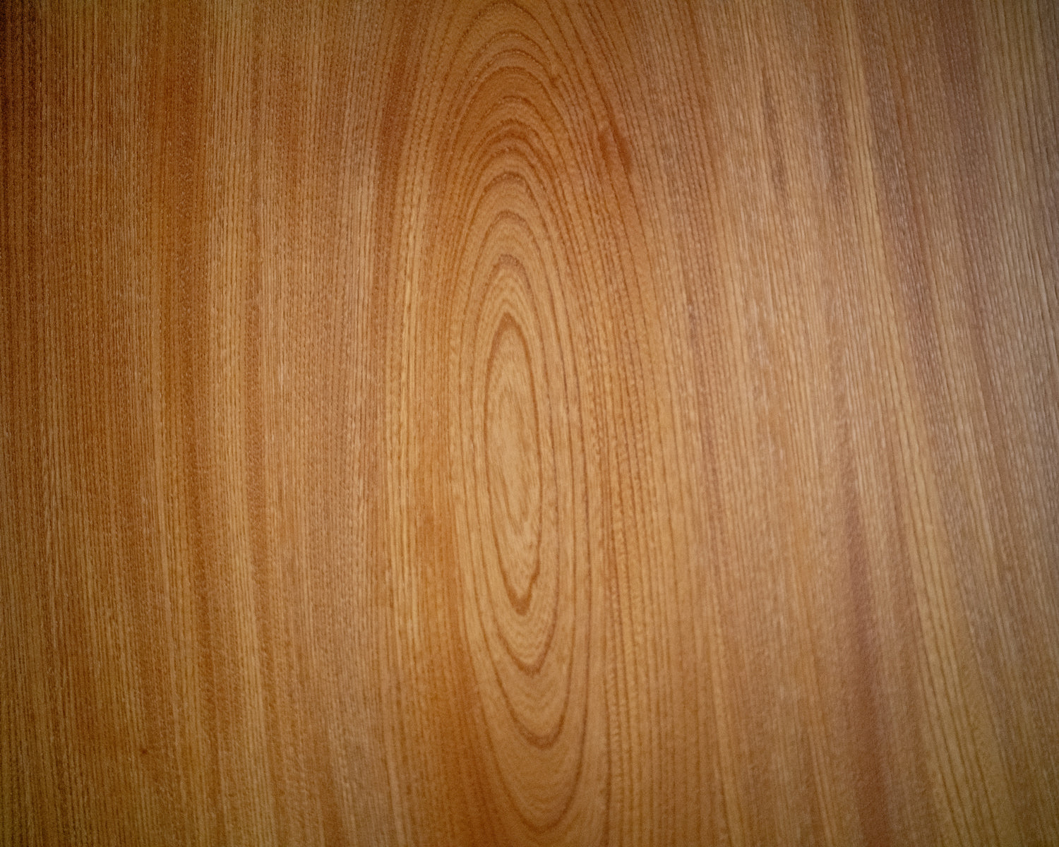 Dalle à bord naturel – Keyaki C1130 (s005)