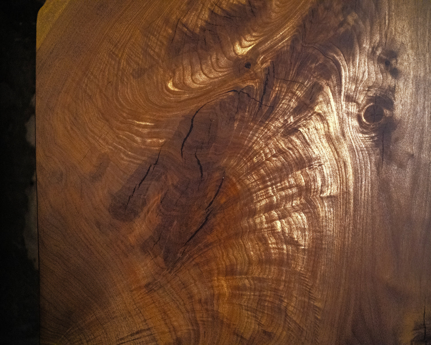 Dalle à bord naturel – Noyer C481 (s021)