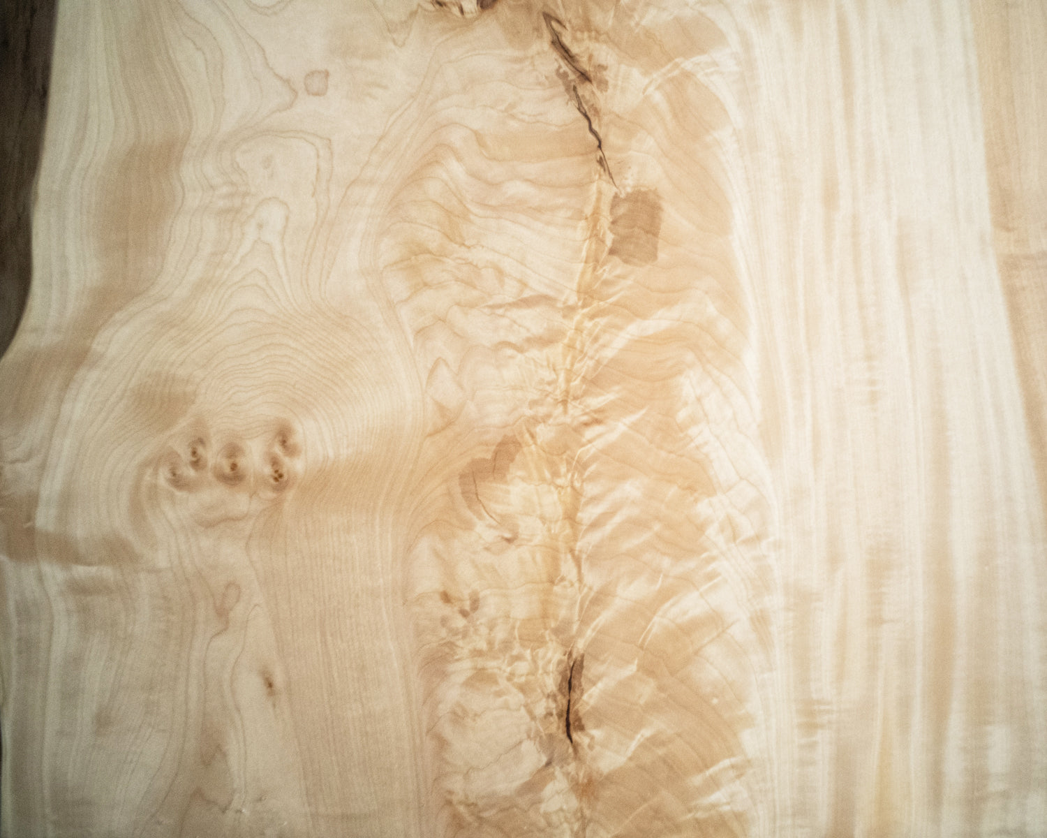 Live Edge Slab – TOCHI C1535 (s015)