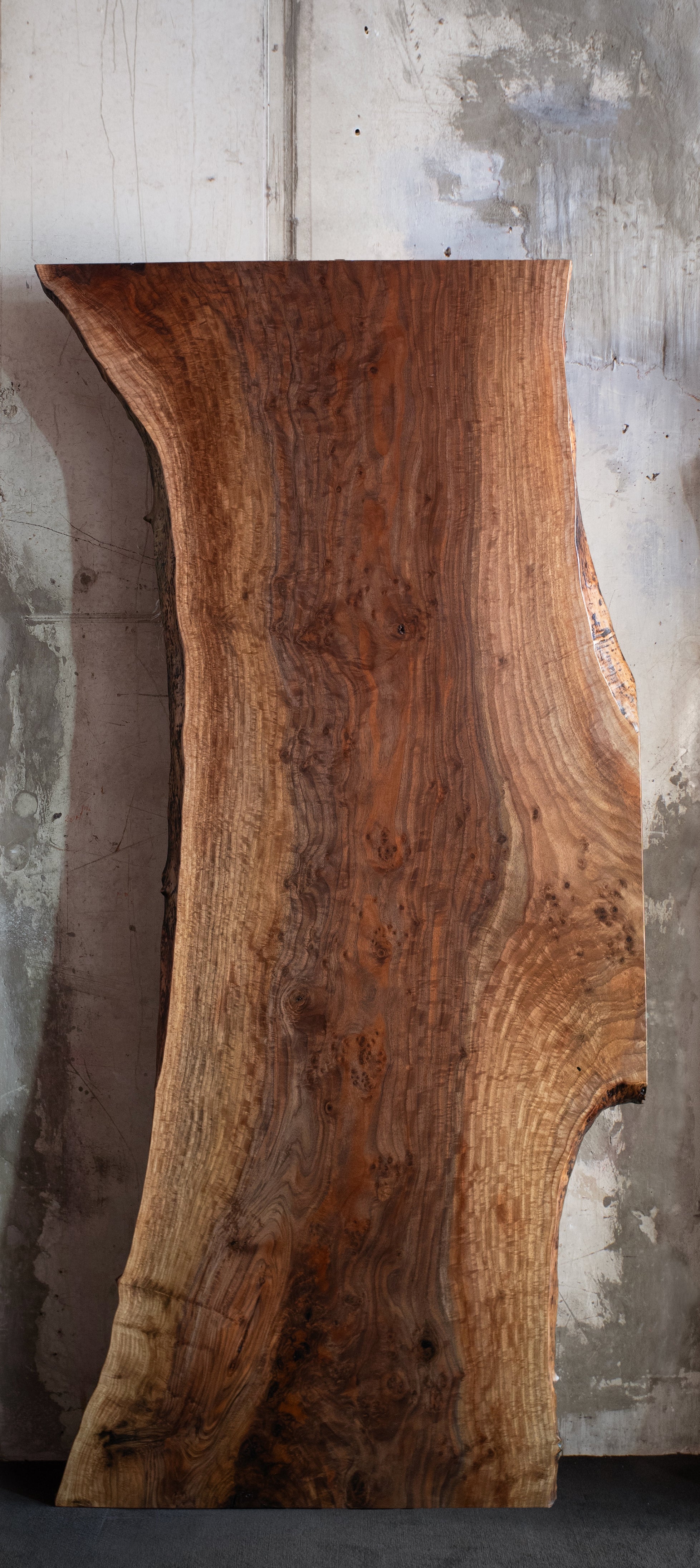 Live Edge Slab – Walnut F39 (s023)