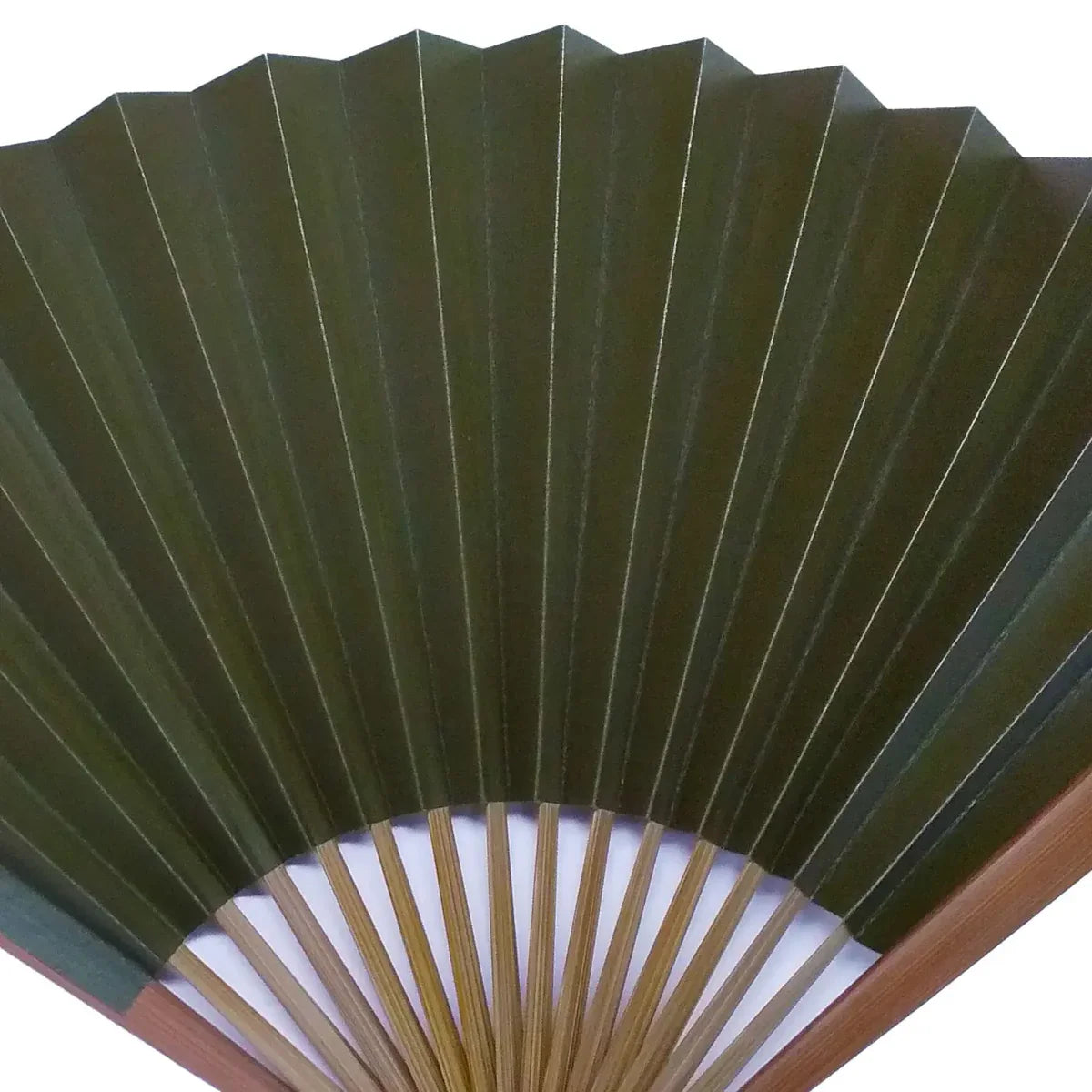 Kakishibu Fan