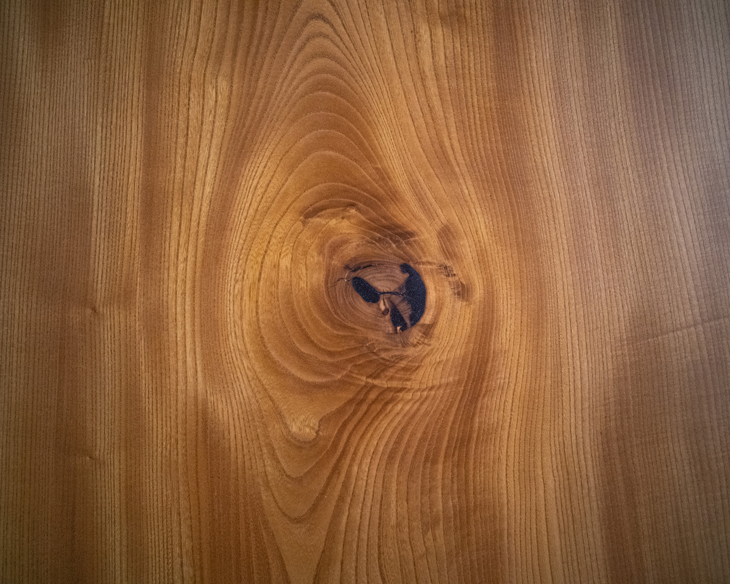 Dalle à bord naturel – Keyaki C153-1 (s004)