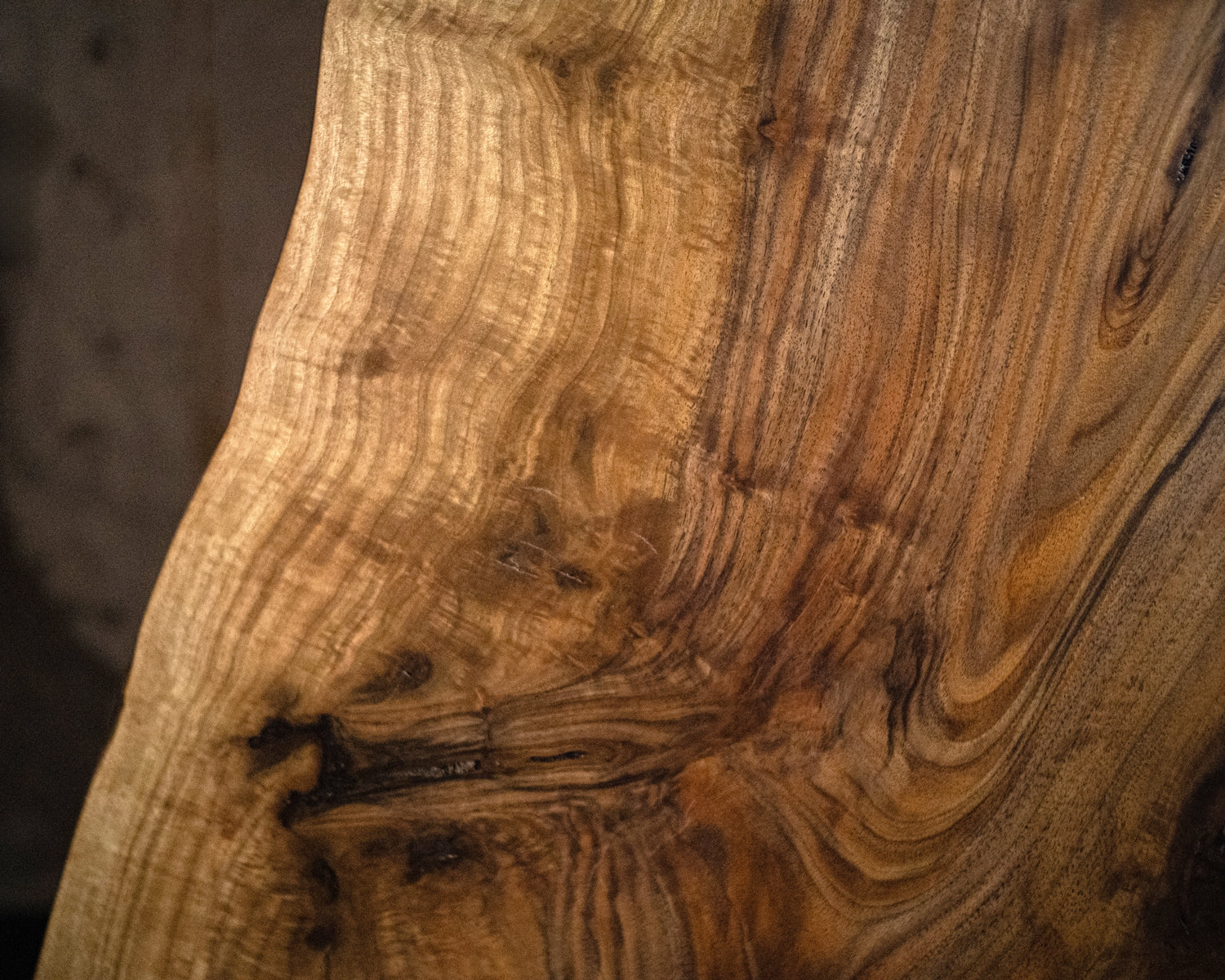 Dalle à bord naturel – Noyer F39 (s023)