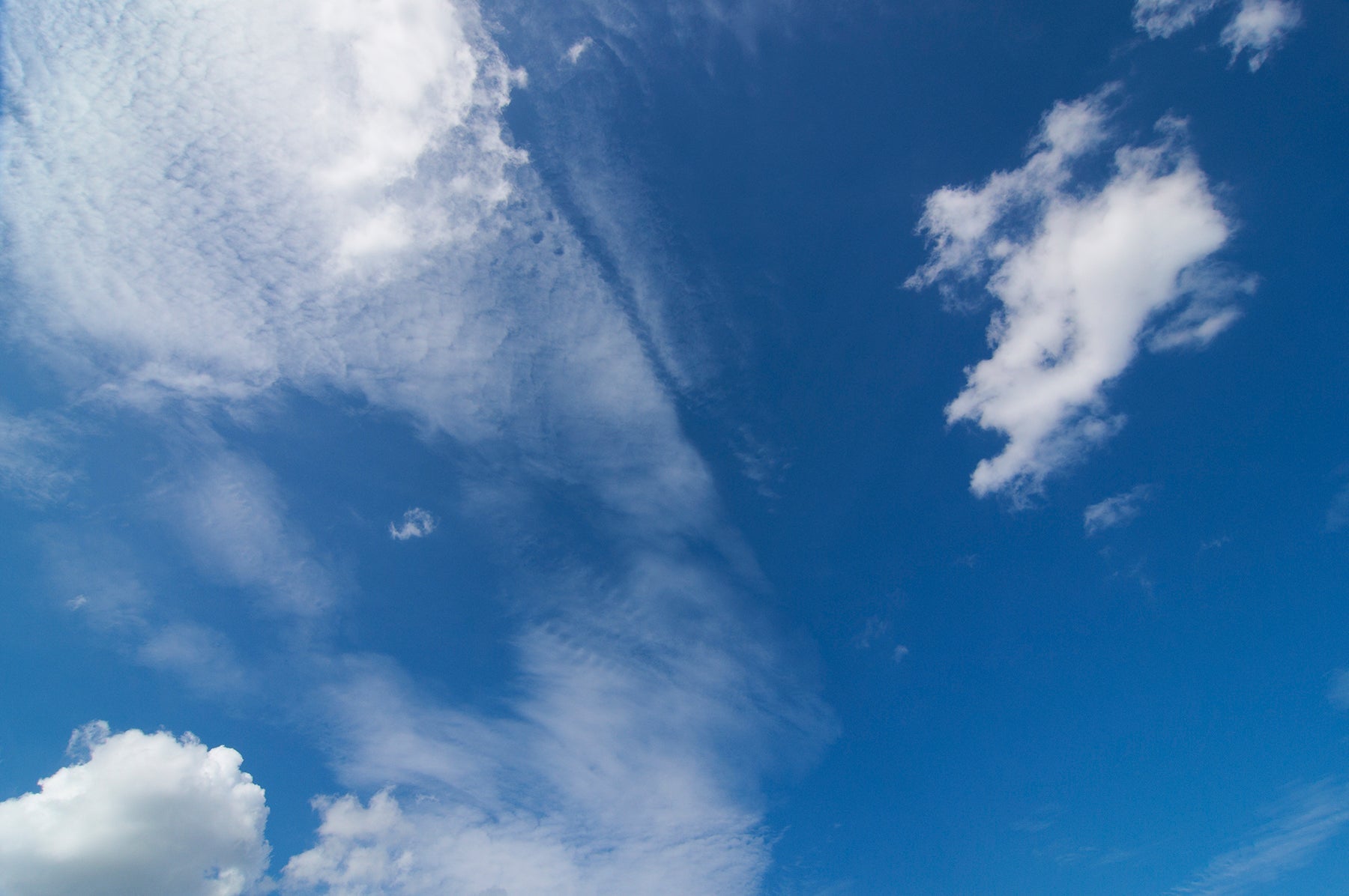 Free Consultation and Estimate